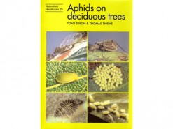 Aphids on deciduous trees