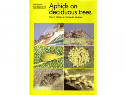 Aphids on deciduous trees 1