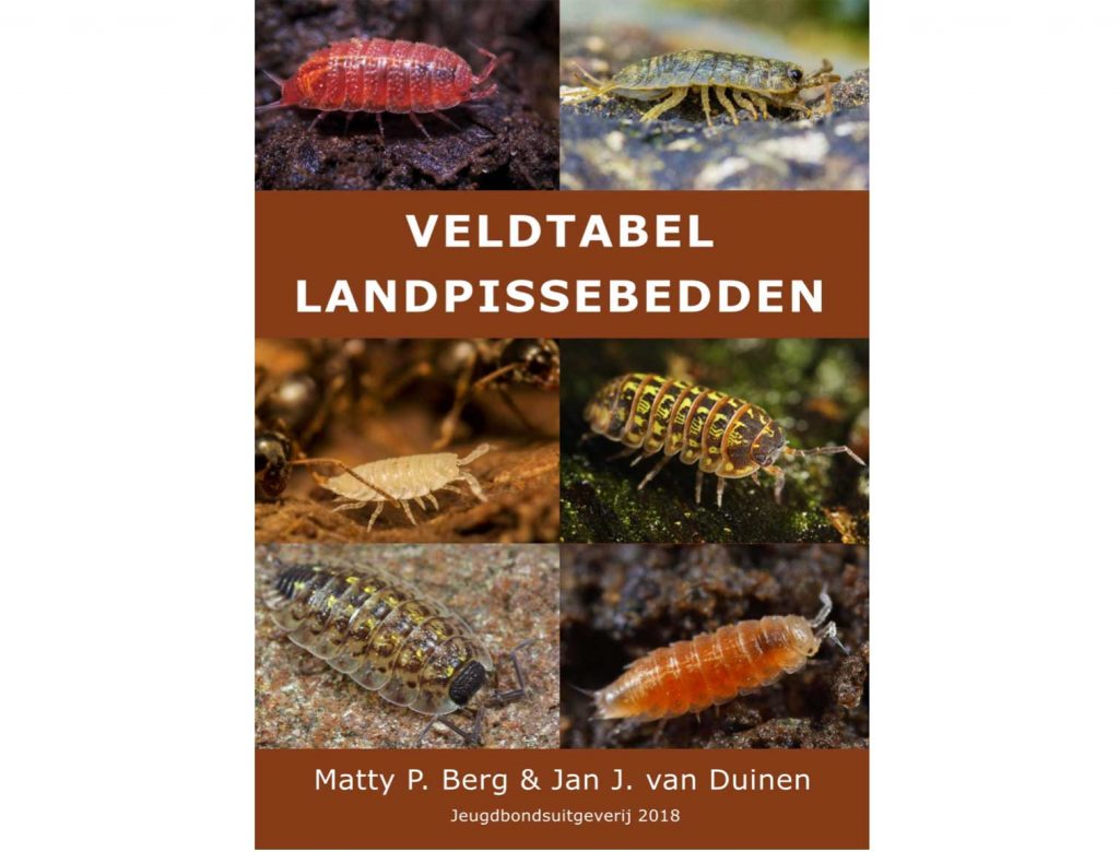 JB22 Veldtabel Landpissebedden