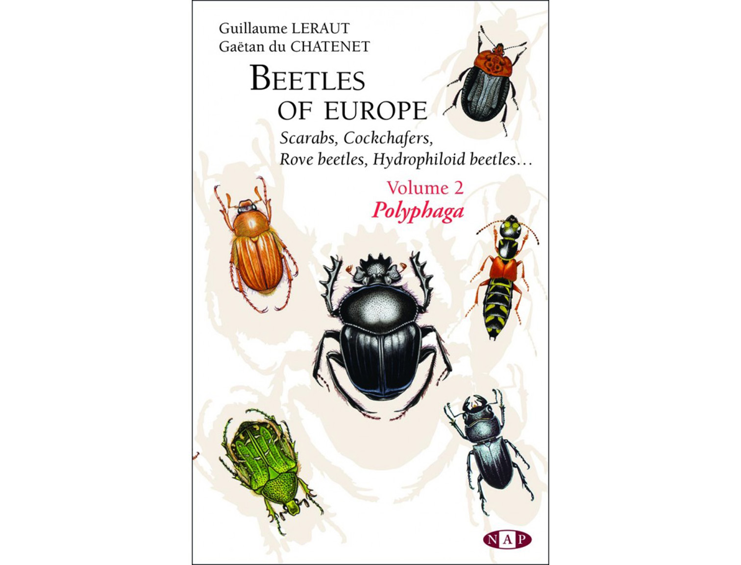 beetles-of-europe-vol2