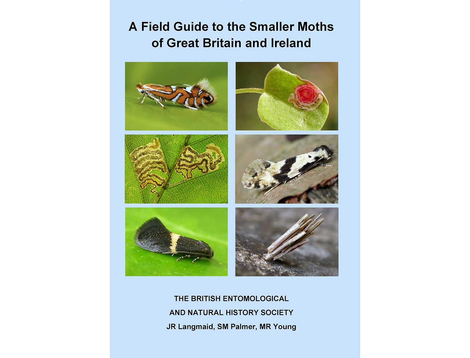 a-Field_Guide-to-the-smaller-moths-of-GB