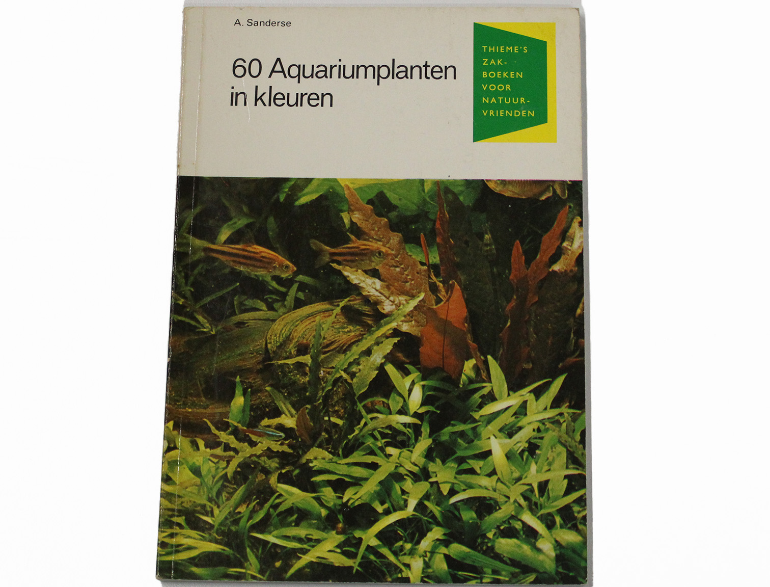 aquariumplanten