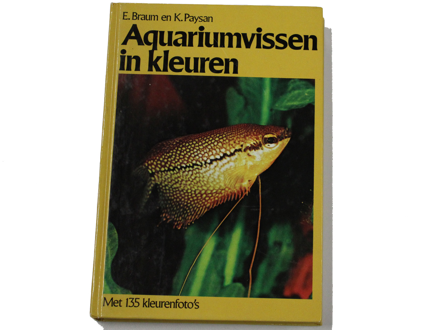 aquariumvissen