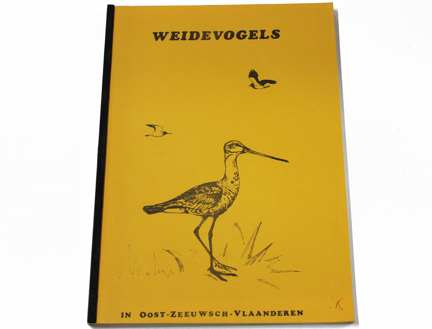 weidevogels